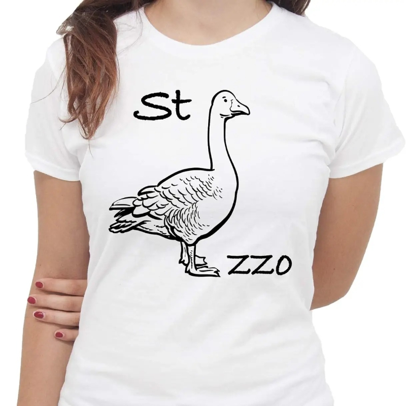 Summer Clothing Images - IMage Goose Rebus Tシャツ面白い Tシャツ面白いシャツ攻撃的な美的服ヴィンテージ服女性服夏の綿 Tシャツ