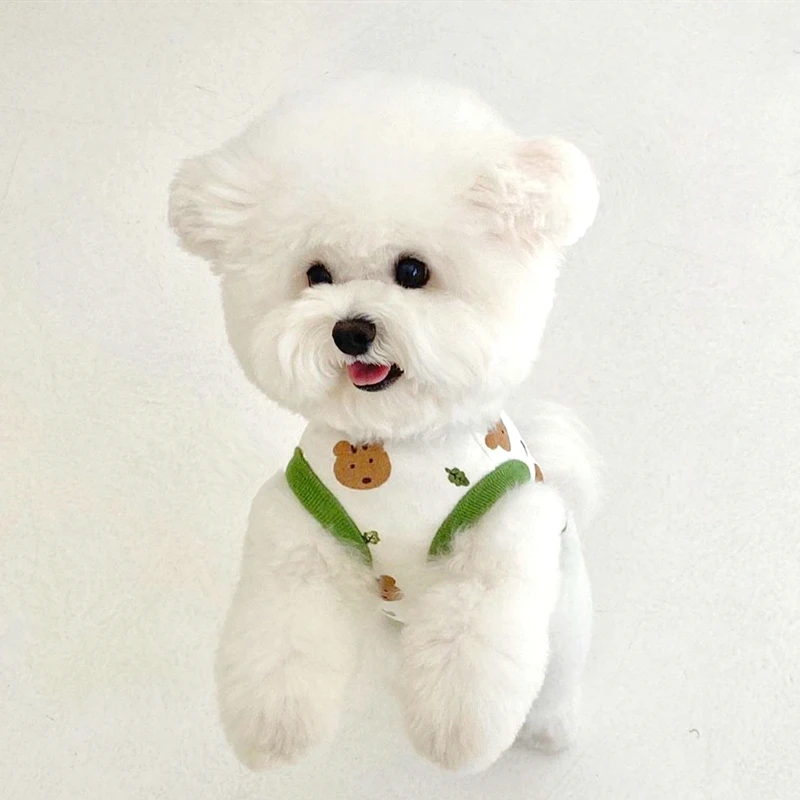ポメラニアン-犬のプリント服,子犬の夏のベスト,漫画の服,X - Summer Jumper Clothing のレビューと価格